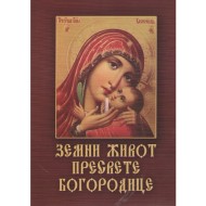 Zemni život Presvete Bogorodice - Sofija Snesoreva